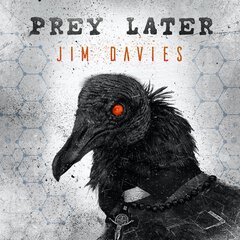 Album art for the ROCK album PREY LATER by JIM DAVIES