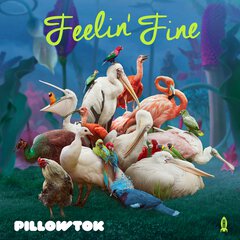Album art for the POP album FEELIN' FINE by PILLOWTOK