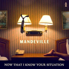 Album art for the ROCK album NOW THAT I KNOW YOUR SITUATION by MANDEVILLE