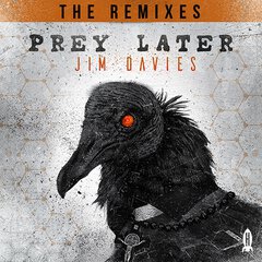 Album art for the ROCK album PREY LATER (THE REMIXES) by JIM DAVIES/DEX
