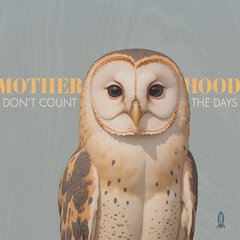 Album art for the COUNTRY album DON'T COUNT THE DAYS by MOTHERHOOD