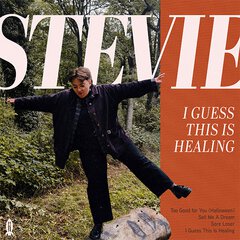 Album art for the POP album I GUESS THIS IS HEALING by STEVIE