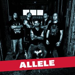 Album art for the ROCK album ALLELE by ALLELE