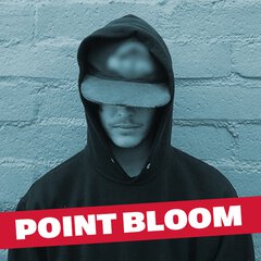 Album art for the ROCK album POINT BLOOM by POINT BLOOM