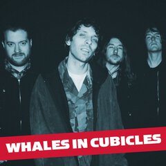 Album art for the ROCK album WHALES IN CUBICLES by WHALES IN CUBICLES