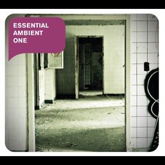 Album art for the ELECTRONICA album Essential Ambient One
