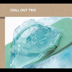 Album art for the EDM album Chill out two