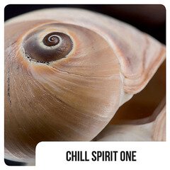 Album art for the EDM album Chill Spirit One