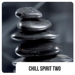 Album art for the EDM album Chill Spirit Two