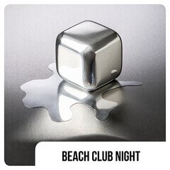 Album art for the EDM album Beach Club - Night