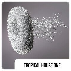 Album art for the EDM album Tropical House One