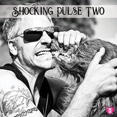 Album art for the ATMOSPHERIC album Shocking Pulse Two