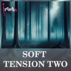 Album art for the REALITY album SOFT TENSION TWO