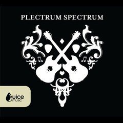 Album art for the  album Plectrum Spectrum