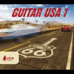 Album art for the  album Guitar USA  1