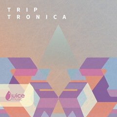 Album art for the  album Trip Tronica