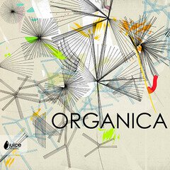 Album art for the EDM album Organica