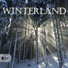 Album art for the SCORE album Winterland