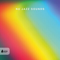 Album art for the EDM album Nu Jazz Sounds