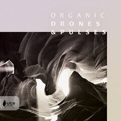 Album art for the ATMOSPHERIC album Organic Drones & Pulses