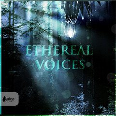 Album art for the  album Ethereal Voices