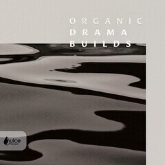 Album art for the POP album Organic Drama Builds