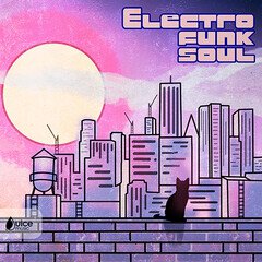 Album art for the POP album Electro Funk Soul