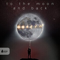 Album art for the  album To the Moon and Back