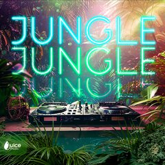 Album art for the EDM album JUNGLE