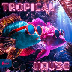 Album art for the EDM album TROPICAL HOUSE