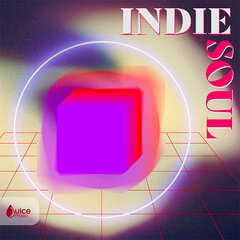 Album art for the R&B album INDIE SOUL