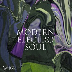 Album art for the HIP HOP album Modern Electro Soul