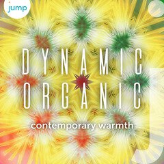 Album art for the POP album Dynamic Organic