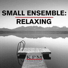 Album art for the CLASSICAL album Small Ensemble: Relaxing