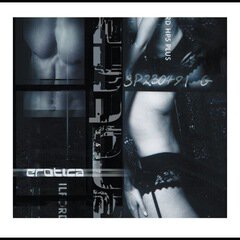 Album art for the  album Erotica