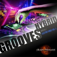 Album art for the EDM album Hybrid Grooves - Electro Vibes Vol 3