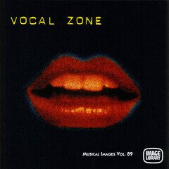 Album art for the POP album Vocal Zone