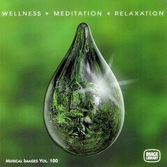 Album art for the ELECTRONICA album Wellness Meditation Relaxation
