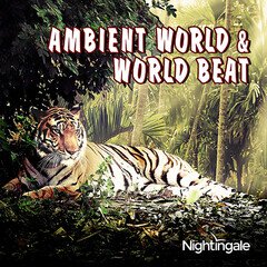 Album art for the SCORE album Ambient World & World Beat
