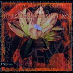 Album art for the EDM album Metamorphosis 2