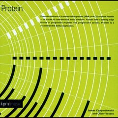 Album art for the EDM album Protein