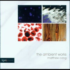 Album art for the  album The Ambient Works