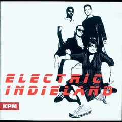 Album art for the POP album Electric Indieland
