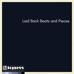 Album art for the EDM album Laid Back Beats and Pieces