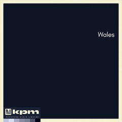 Album art for the FOLK album Wales