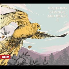 Album art for the EDM album Uplifting Strings And Beats 2