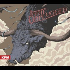 Album art for the FOLK album Indie Unplugged