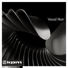 Album art for the POP album VOCAL NOIR