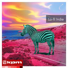 Album art for the ROCK album LO-FI INDIE