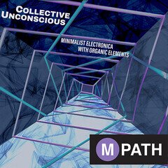 Album art for the EDM album COLLECTIVE UNCONSCIOUS - MINIMALIST ELECTRONICA WITH ORGANIC SOUNDS